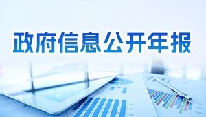 信息公開年報